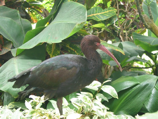 ./IMG_6732.JPG