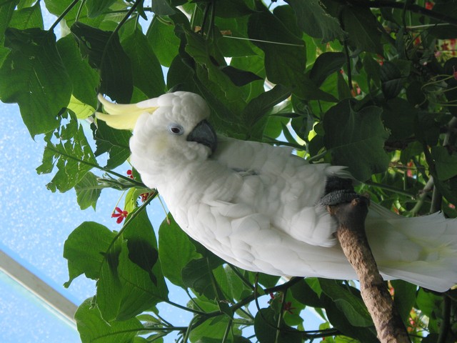 ./IMG_6734.JPG