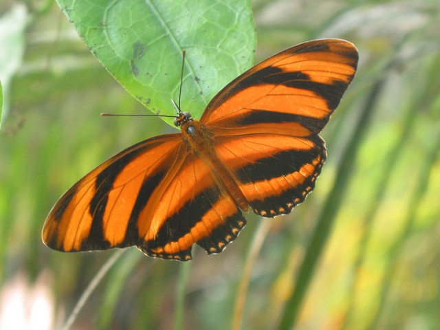 ./IMG_6739.JPG