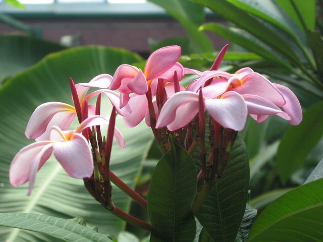 ./IMG_6740.JPG