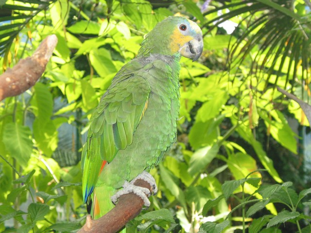 ./IMG_6745.JPG