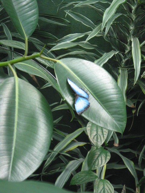 ./IMG_6750.JPG