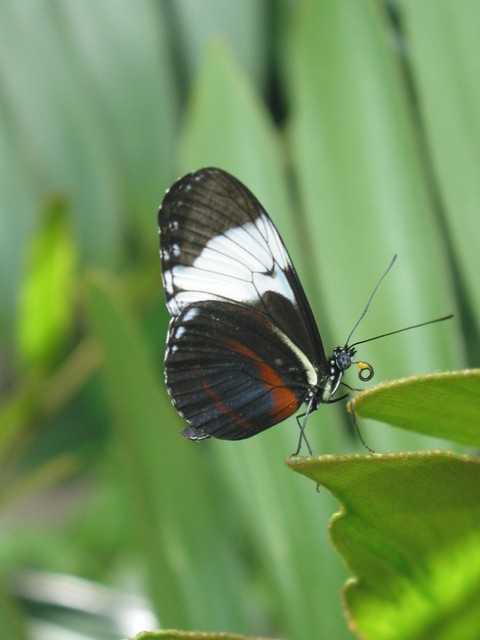 ./IMG_6753.JPG