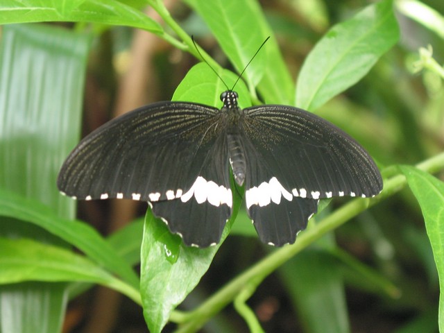 ./IMG_6754.JPG