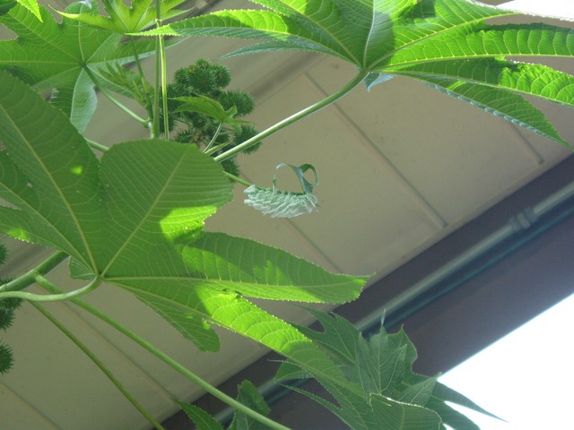 ./IMG_6755.JPG