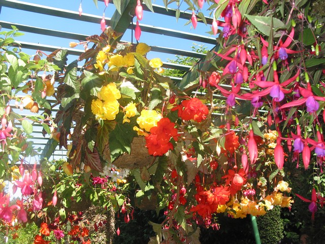 ./IMG_6775.JPG