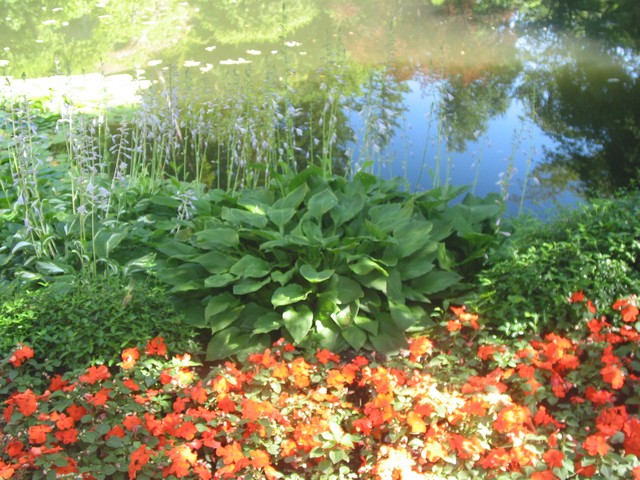 ./IMG_6791.JPG