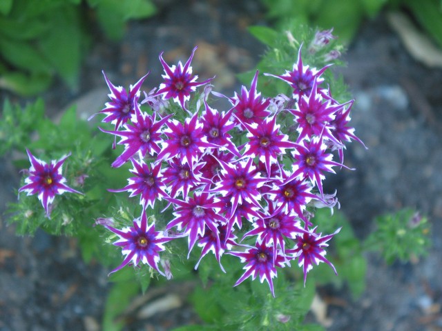 ./IMG_6802.JPG