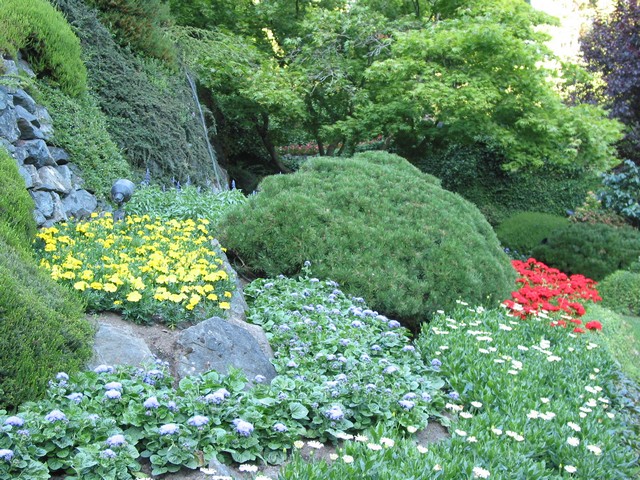 ./IMG_6826.JPG