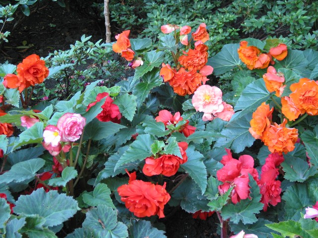 ./IMG_6829.JPG