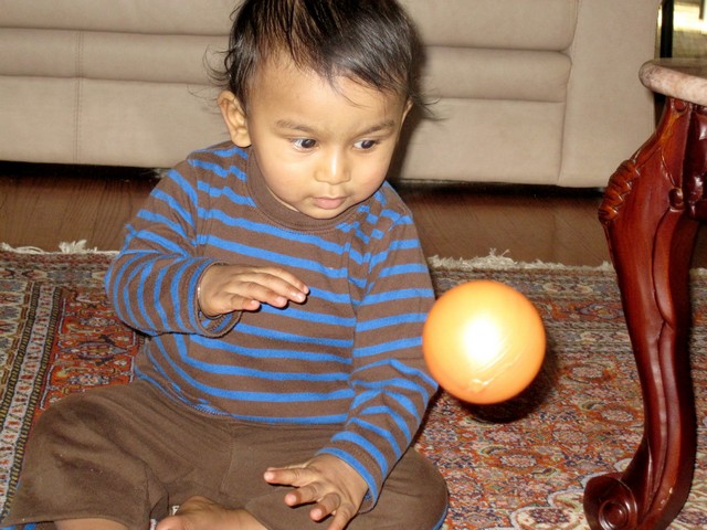 ./IMG_1940.JPG