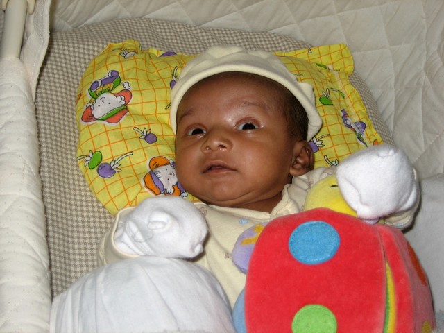 ./IMG_8246.JPG