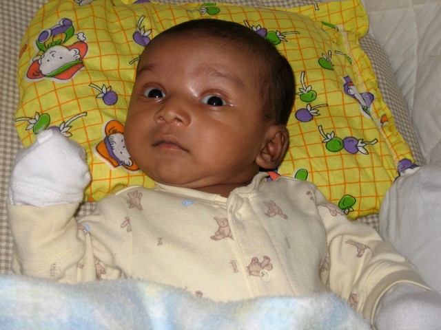 ./IMG_8253.JPG