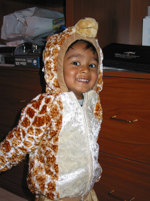 ./IMG_6429.jpg