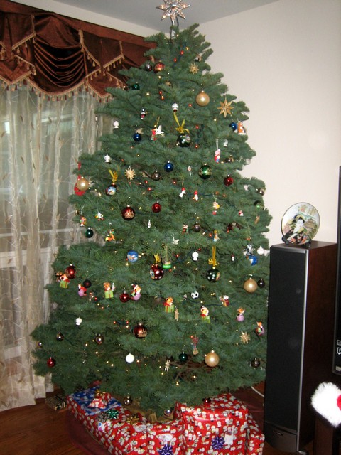 ./IMG_5811.JPG