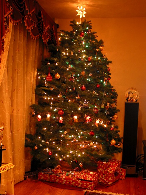 ./IMG_8641.JPG
