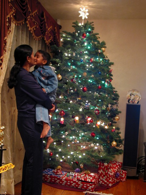 ./IMG_8655.JPG