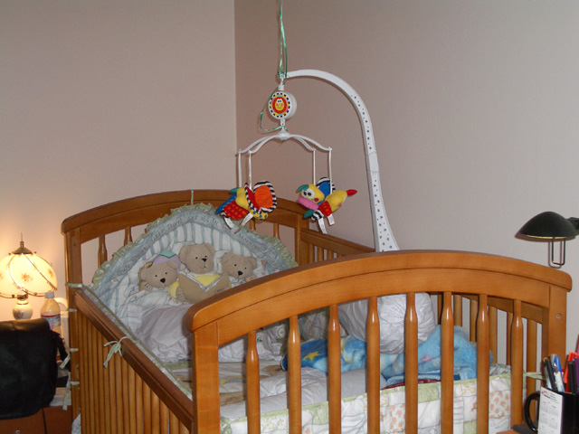 ./IMG_0008.jpg