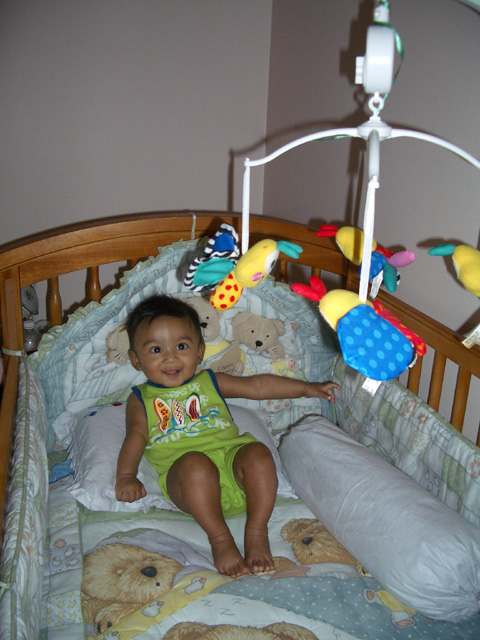 ./IMG_0052.jpg