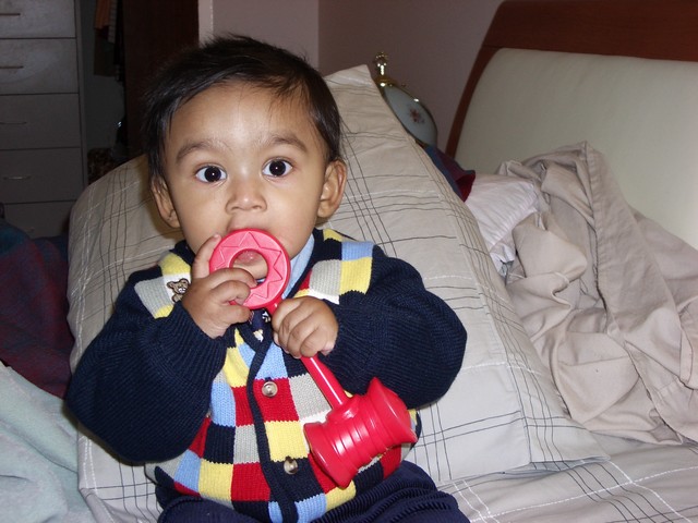 ./IMGP0334.JPG