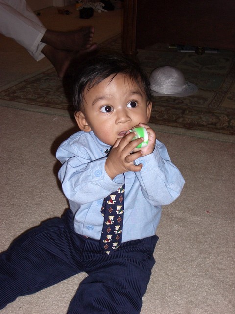 ./IMGP0381.JPG