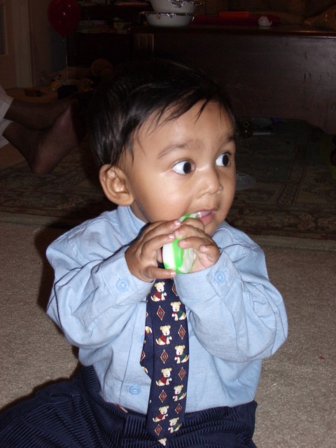 ./IMGP0382.JPG