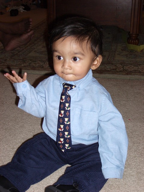 ./IMGP0383.JPG
