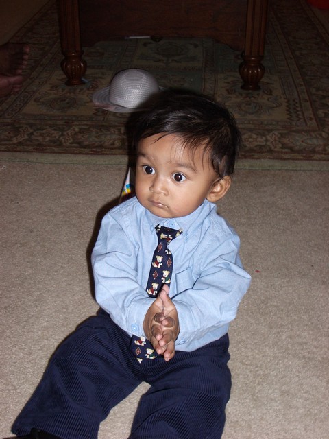 ./IMGP0387.JPG
