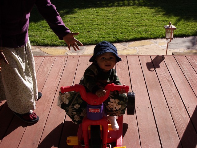 ./IMGP0408.JPG