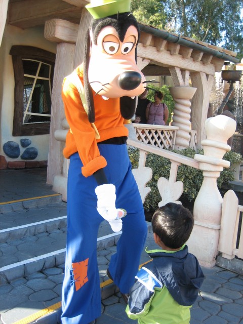 ./IMG_3963.JPG