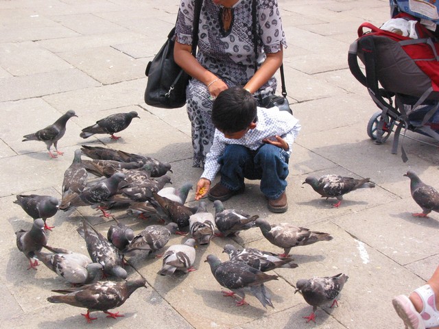 ./IMG_8083.JPG