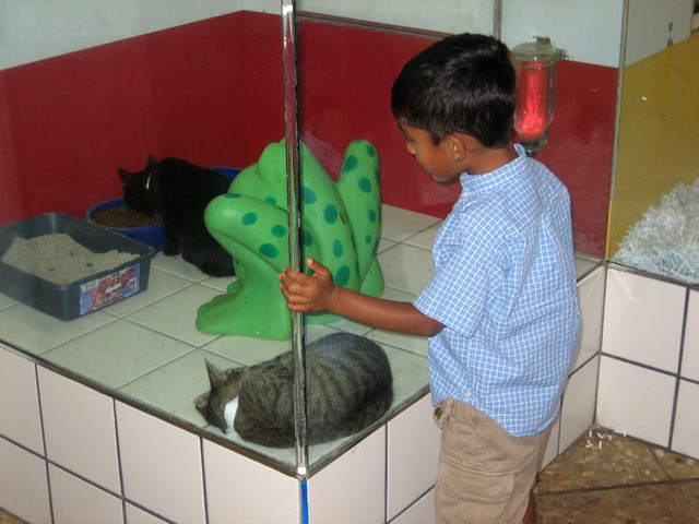 ./IMG_7334.JPG